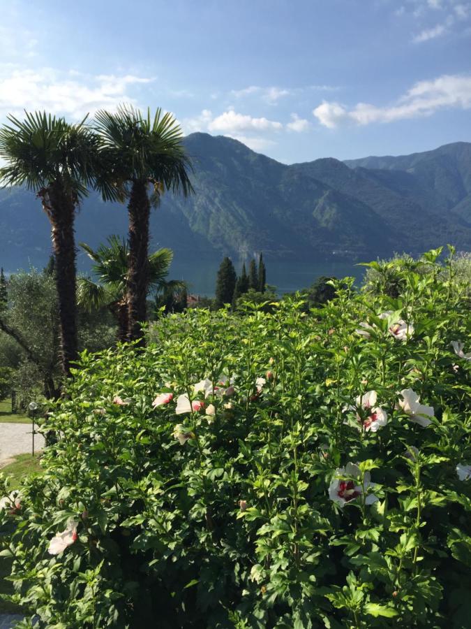Residenza Margherita Tremezzo Εξωτερικό φωτογραφία